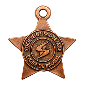 Bronze Star FR 291